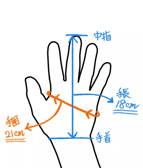 キーチの手のサイズです。これでどのグローブがちょうど良いか参考になりましら幸いです。