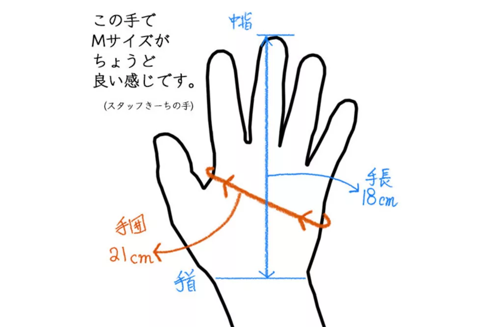 サルプロテクショングローブサイズ感